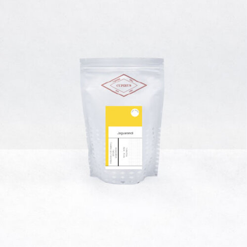 Jaguarundi - Colombia 