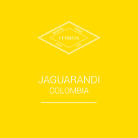 Jaguarundi - Colombia