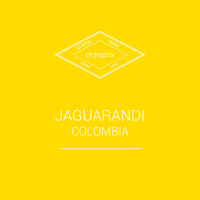 Jaguarundi - Colombia