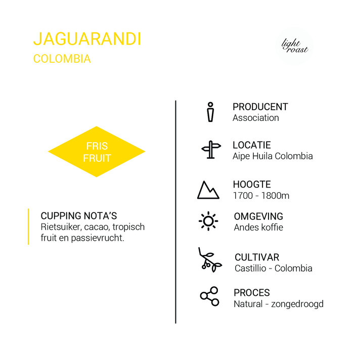 Jaguarundi - Colombia