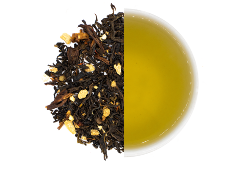 Cuperus Peach Passion