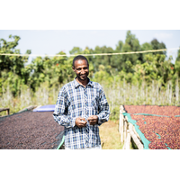 Gera Yirgacheffe - Ethiopië