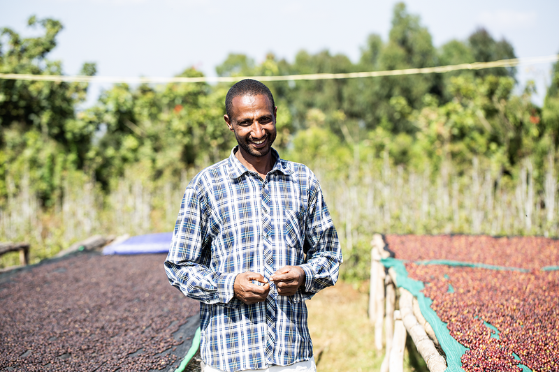 Gera Yirgacheffe - Ethiopië