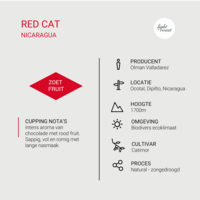Red Cat  - Nicaragua