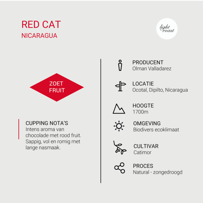 Red Cat  - Nicaragua