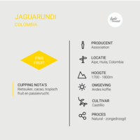 Jaguarundi - Colombia