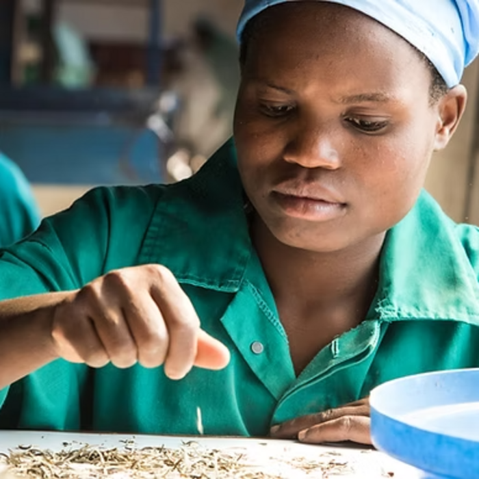 Malawi