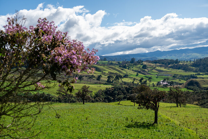 OyO - Colombia