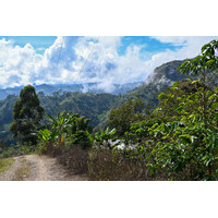 OyO - Colombia