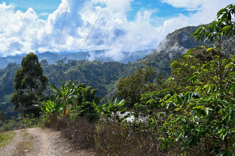 OyO - Colombia