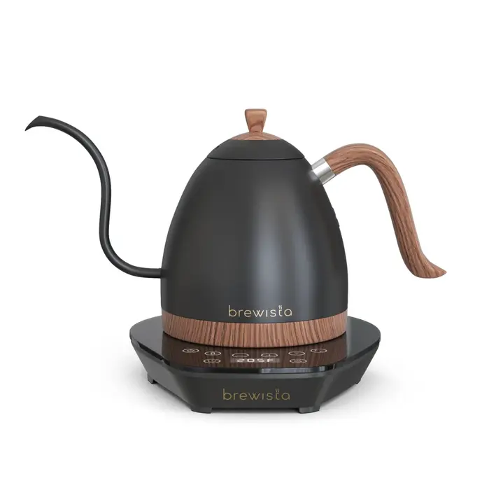 Brewista Artisan electric kettle