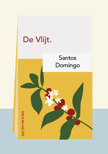 Santos - Domingo 
