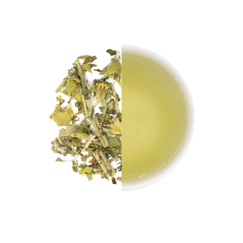 Maté Blend 100gr 