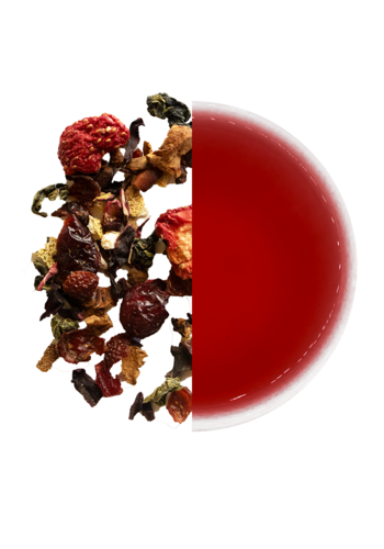 Christmas Berry 