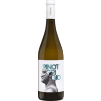 Teanum Pinot Grigio