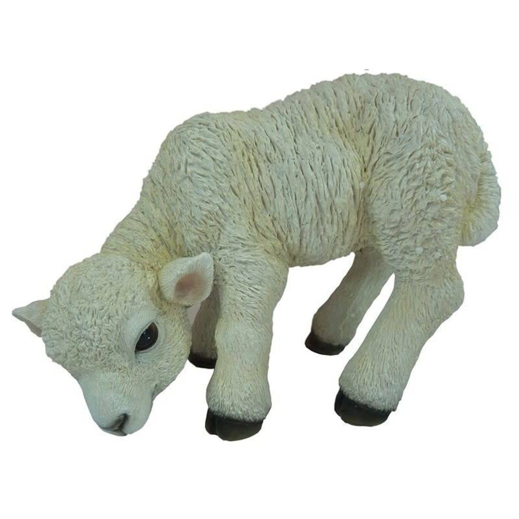 Vivid Arts Vivid Arts Real Life Lamb D Stewart And Gibson Ltd Vivid Arts Vivid Arts Real Life Lamb D Stewart And Gibson Ltd