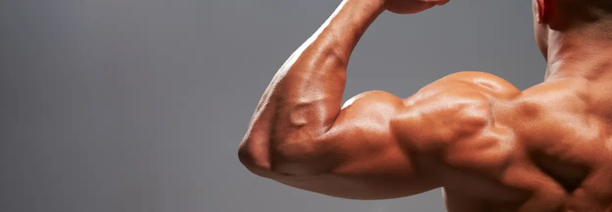 Krijg sterke biceps met deze dumbbell oefeningen Krijg sterke biceps met deze dumbbell oefeningen