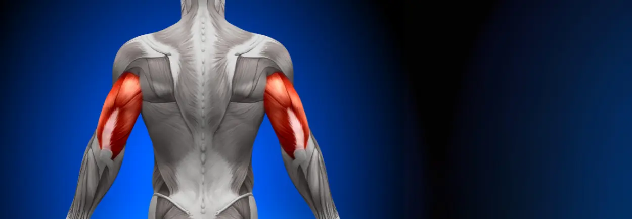 Sterke triceps met deze halteroefeningen