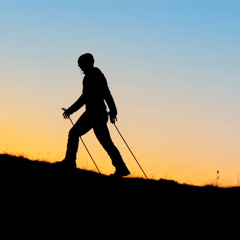 Toorx Fitness Nordic Walking stokken - Telescopisch Verstelbaar