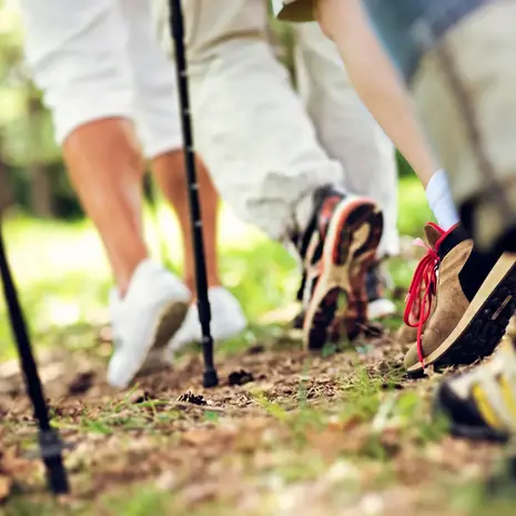 Toorx Fitness Nordic Walking stokken - Telescopisch Verstelbaar