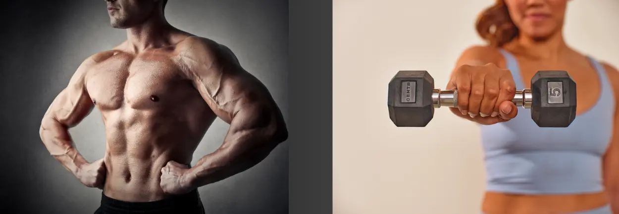 Sterke borstspieren met dumbbels Sterke borstspieren met dumbbels