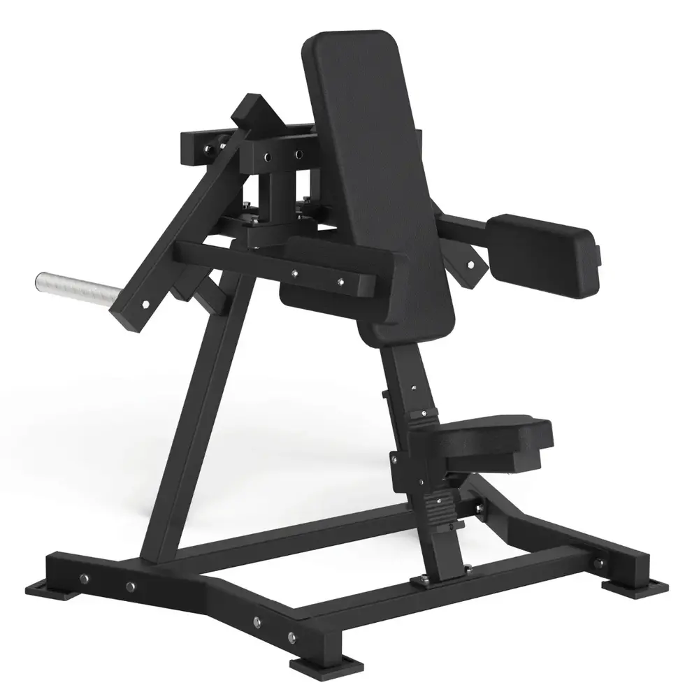 Toorx Professional AVANT - Lateral Raise FWX-6500