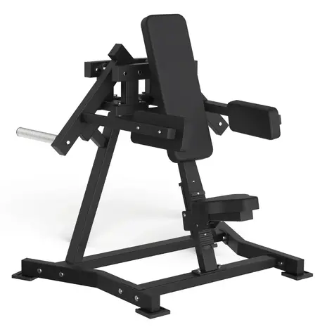 Toorx Professional AVANT - Lateral Raise FWX-6500