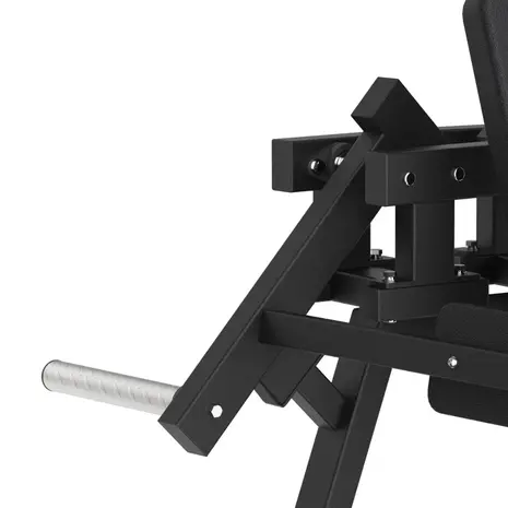 Toorx Professional AVANT - Lateral Raise FWX-6500