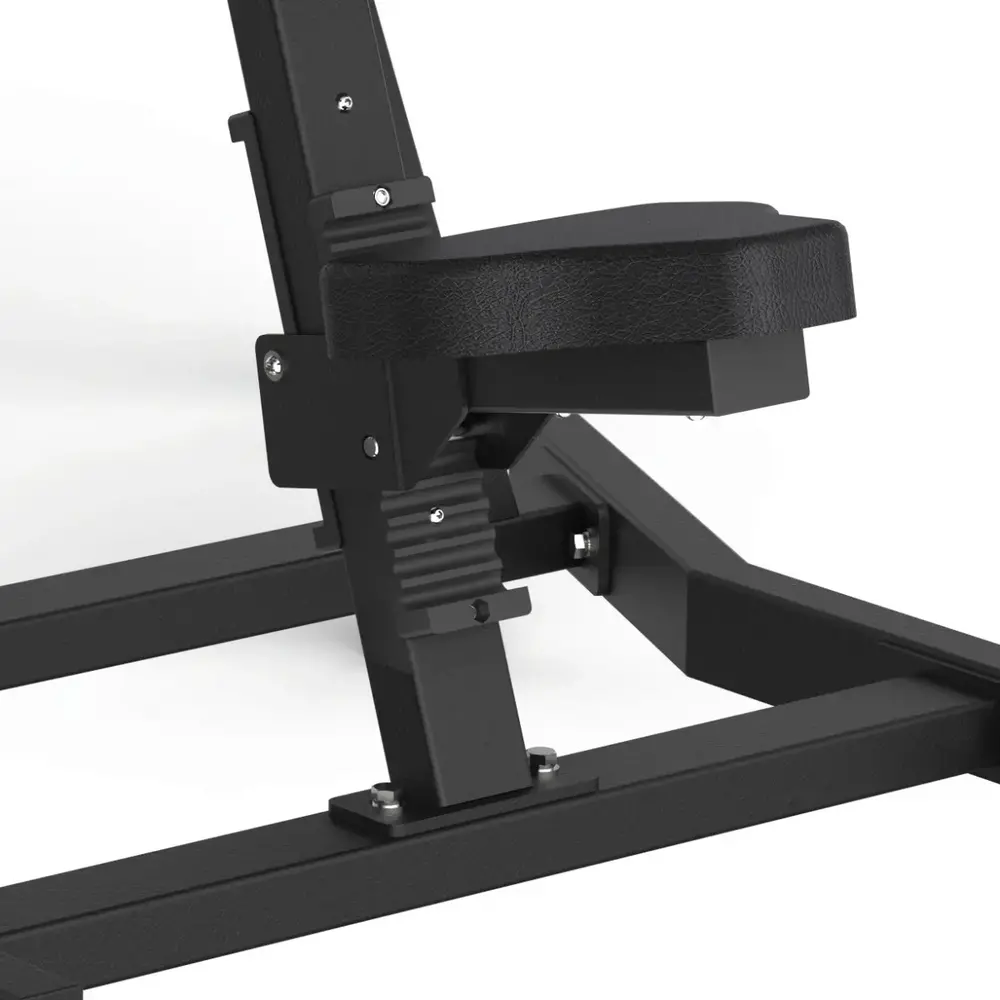 Toorx Professional AVANT - Lateral Raise FWX-6500