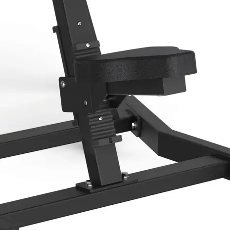 Toorx Professional AVANT - Lateral Raise FWX-6500