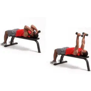 Dumbbell Skull Crushers