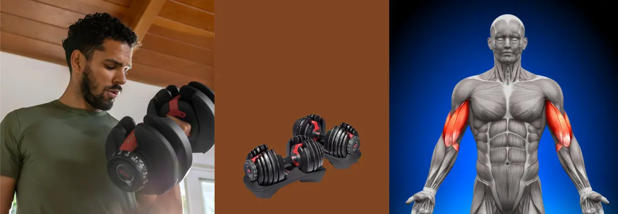 Beste oefeningen om je biceps te trainen