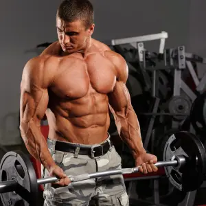 Barbell Biceps Curl