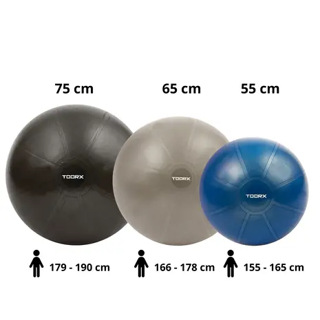 Toorx Fitness Gymbal PRO - 500 kg - Fitnessbal - Zitbal
