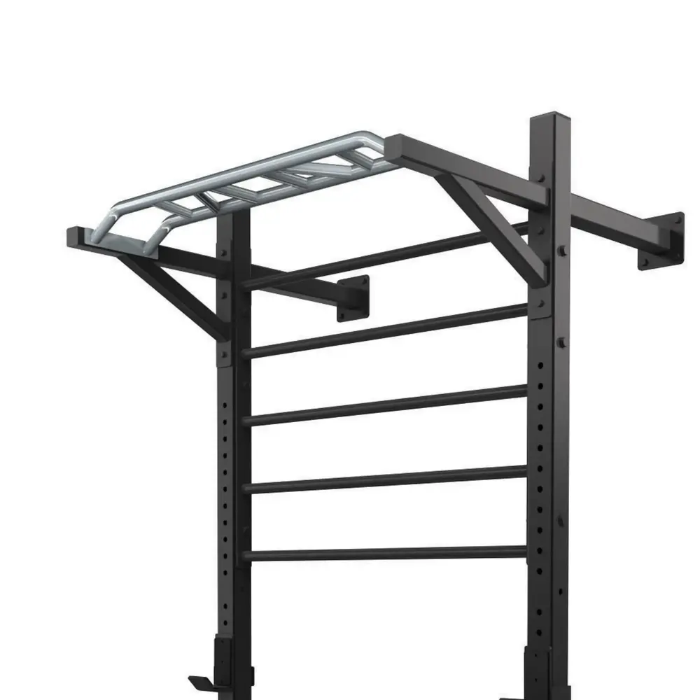 Toorx Professional LDX-5000 Wallbar Staal Toorx Professional LDX-5000 Wallbar Staal