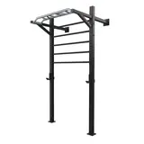 Toorx Professional LDX-5000 Wallbar Staal