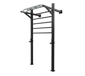 Toorx Professional LDX-5000 Wallbar Staal Toorx Professional LDX-5000 Wallbar Staal