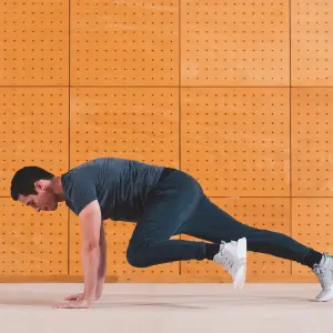 Mountain Climbers
