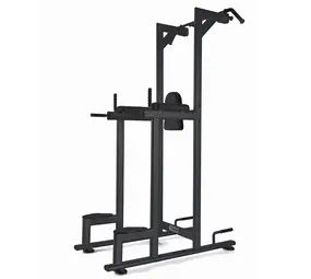 Toorx Professional WBX-B2800 Chin/Dip/Leg Raise Toorx Professional WBX-B2800 Chin/Dip/Leg Raise