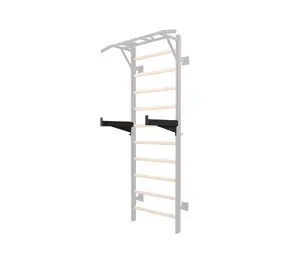 Toorx Professional Safety Spotter Arms voor LDX-3000 Wallbar Toorx Professional Safety Spotter Arms voor LDX-3000 Wallbar