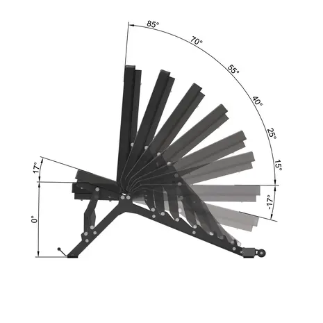 Toorx Professional WBX-400 Verstelbare Trainingsbank
