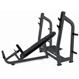 Toorx Professional WBX-B3800 Olympische Halterbank Incline