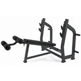 Toorx Professional WBX-B3600 Olympische Halterbank Decline