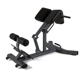 Toorx Professional WBX-B2600 Back Extension Toorx Professional WBX-B2600 Back Extension