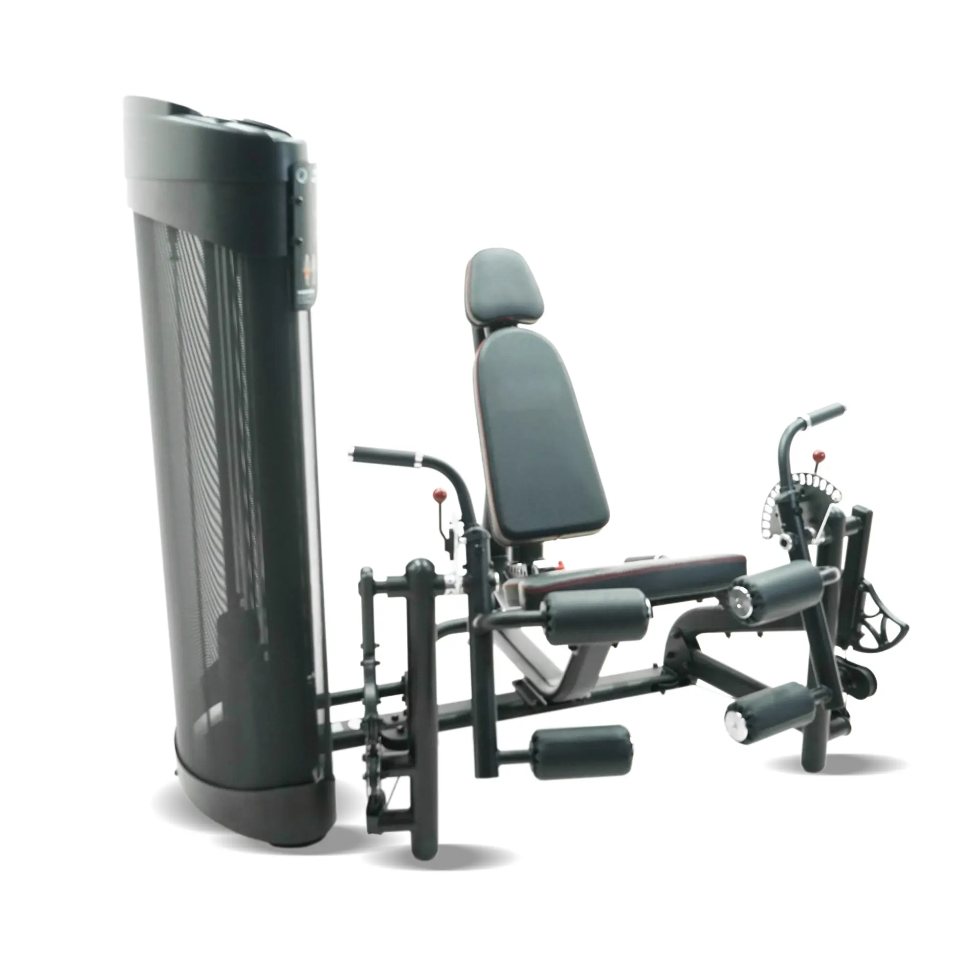 Thermax Machine Leg Leg Curl Machine Seated Machine Leg Curl Oefening FITsociety