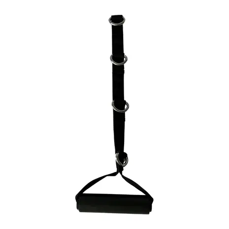 Inspire Multi-Ring D Handle Inspire Multi-Ring D Handle