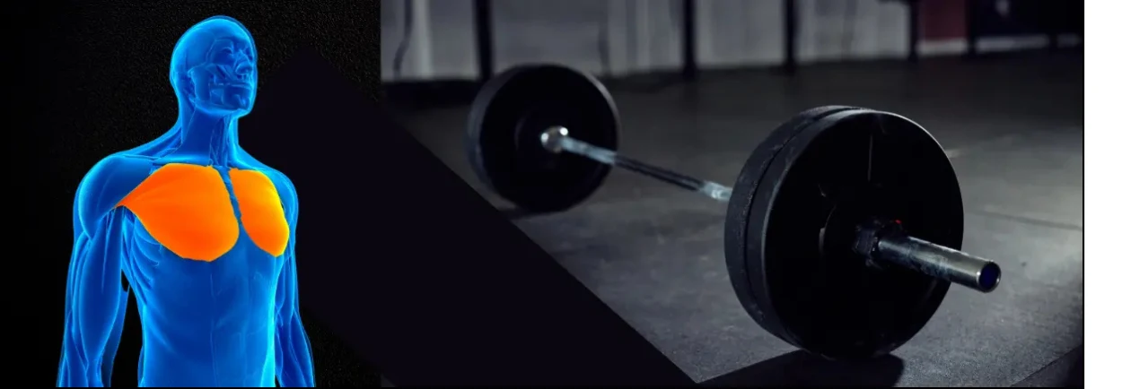 6 Barbell Oefeningen voor Sterke Borstspieren 6 Barbell Oefeningen voor Sterke Borstspieren