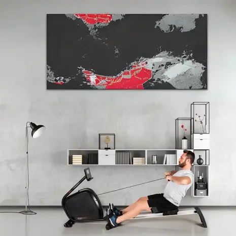 Toorx Fitness RWX-500 Roeitrainer met magnetisch remsysteem