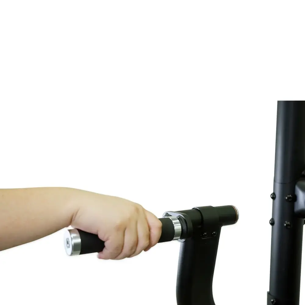 Inspire DUAL Station Chin Up Inspire DUAL Station Chin Up