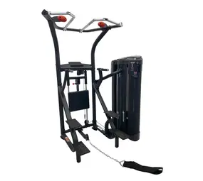 Inspire DUAL Station Chin Up Inspire DUAL Station Chin Up